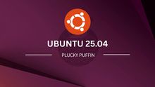 Ubuntu 25.04 Plucky Puffin
